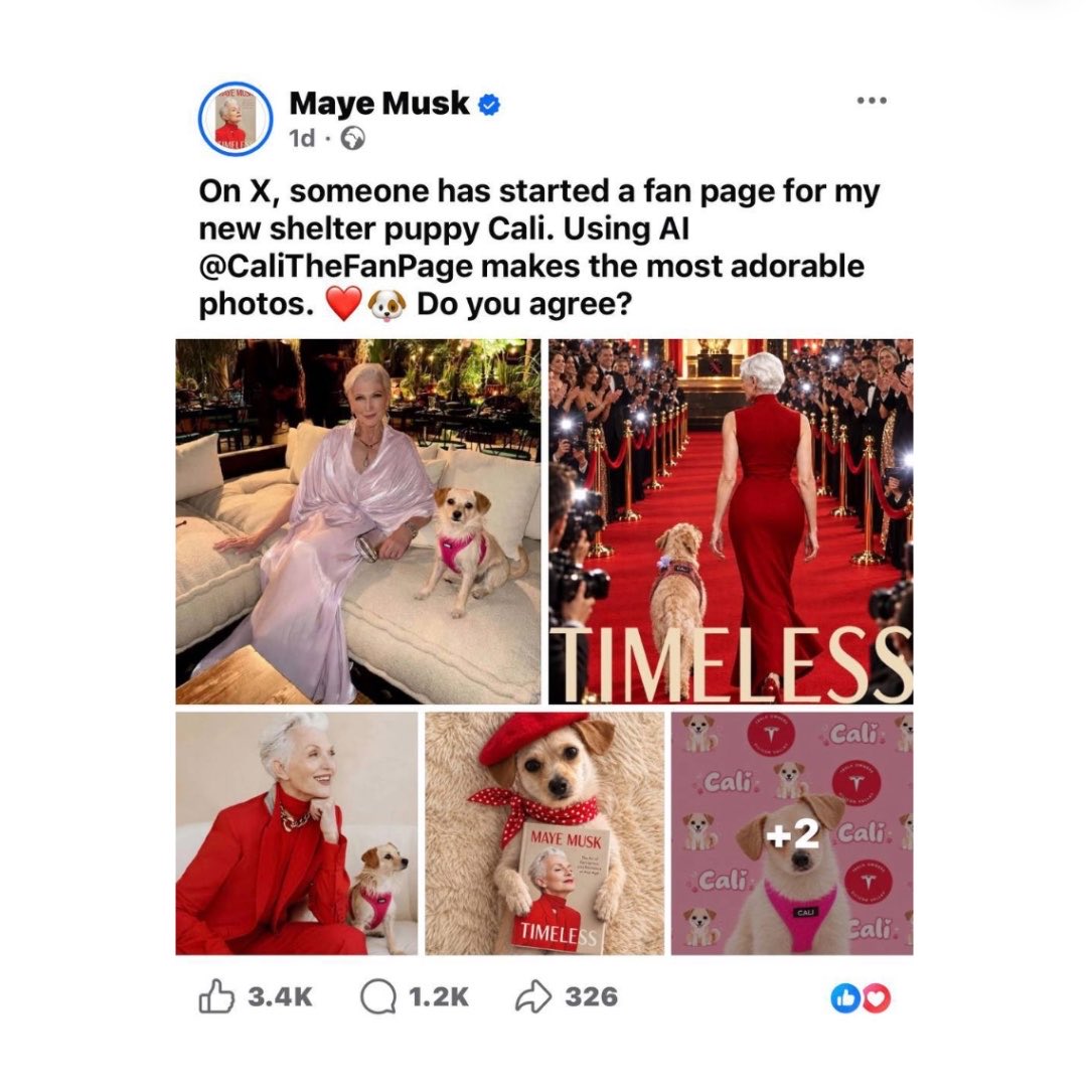 WhaleInsider's tweet photo. JUST IN: Maye Musk has shares the official $CALI X account on her Facebook and Instagram accounts. CALI is a memecoin created for her dog. https://t.co/txwLXJQVn3