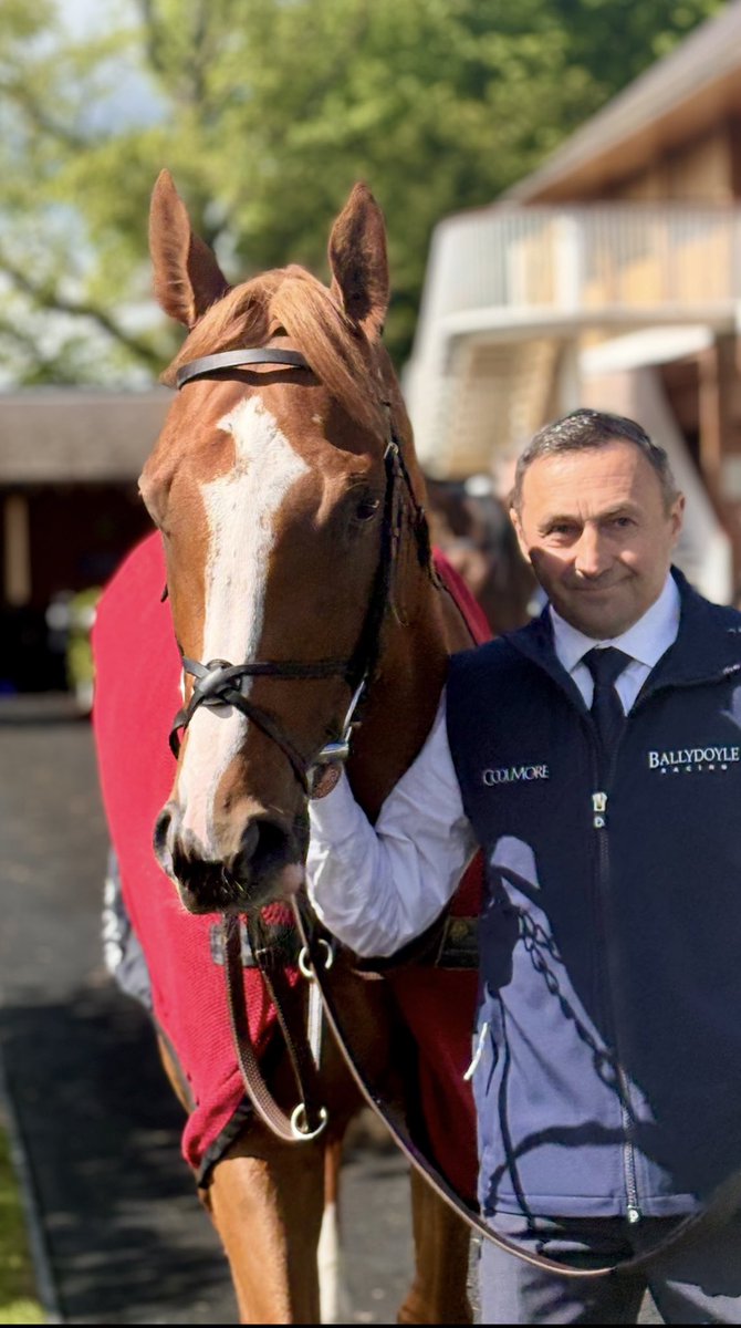 FluffyPickle's tweet photo. Happy Action day everyone. So hope our favourite pacemaker gets a well deserved win at Cork. Hoping he isn’t in that Tatts HIT catalogue tomorrow too….Safe home boy #gingerprince 🥰💙🧡 https://t.co/BuQmxfJWvE