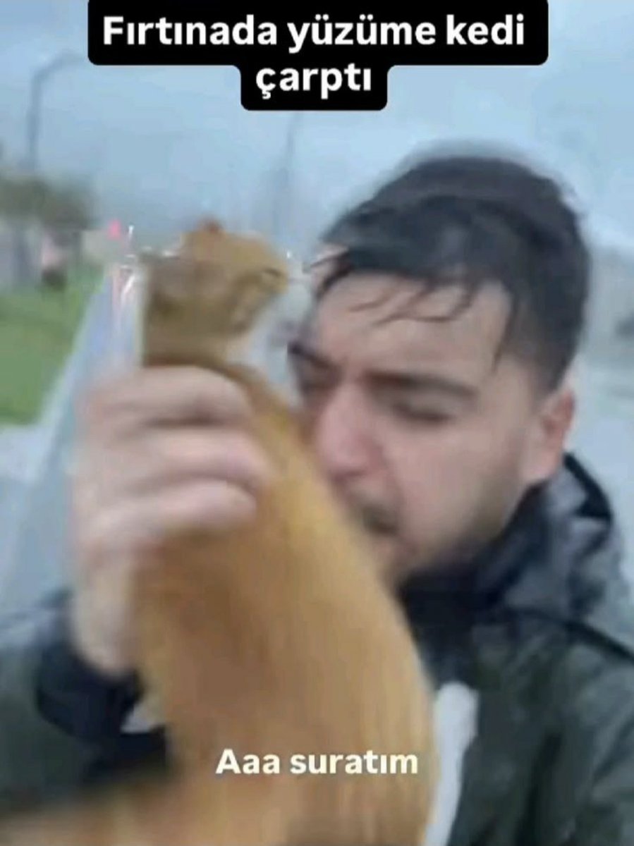 pentim3nto_7's tweet photo. hava bu sekıl https://t.co/hUU22eDWFN