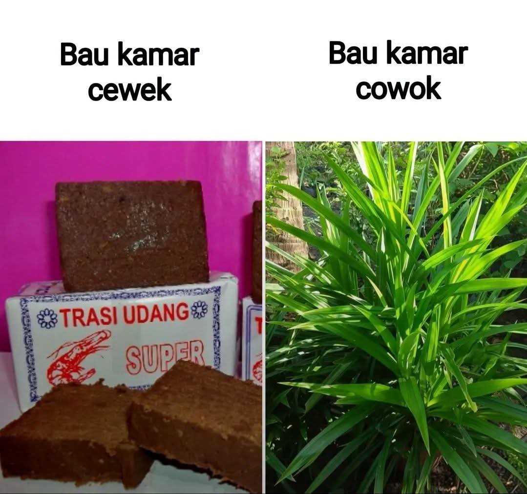 danskuss tweet picture