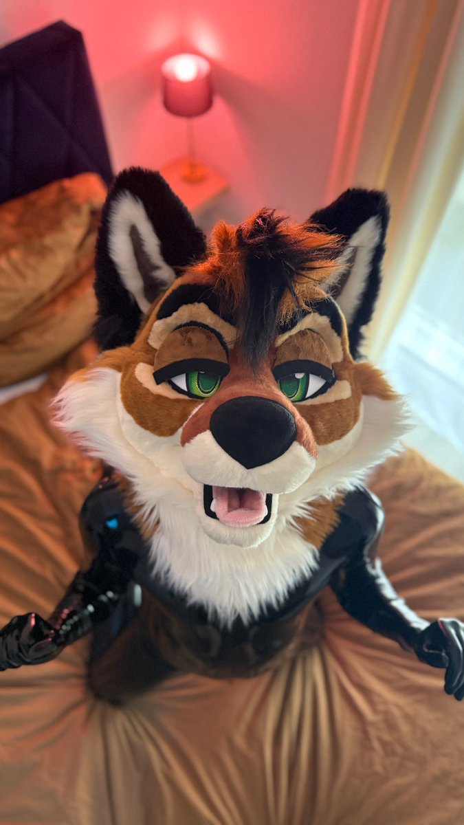 Tekula_wolf2's tweet photo. @nixxyfluff @BlazeAfterBark Oh yess! I’ll be a very good boy for you! 🥺 https://t.co/Wdf6h5NDKU