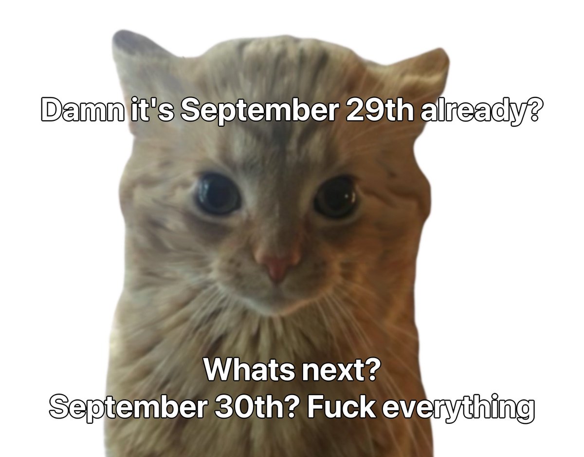 literallymecats's tweet photo. https://t.co/xVo8SxXTEc