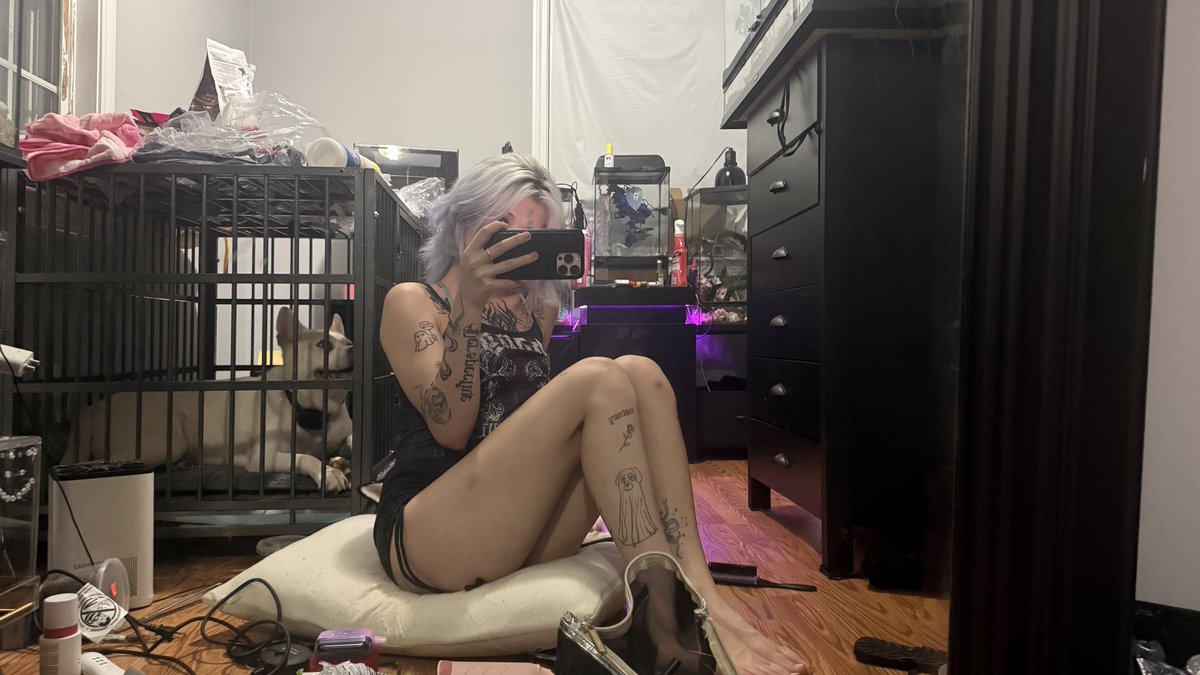 brittanyvellae's tweet photo. don’t let the cute pup distract u from the real problem 😇 https://t.co/pE00dQeVJn