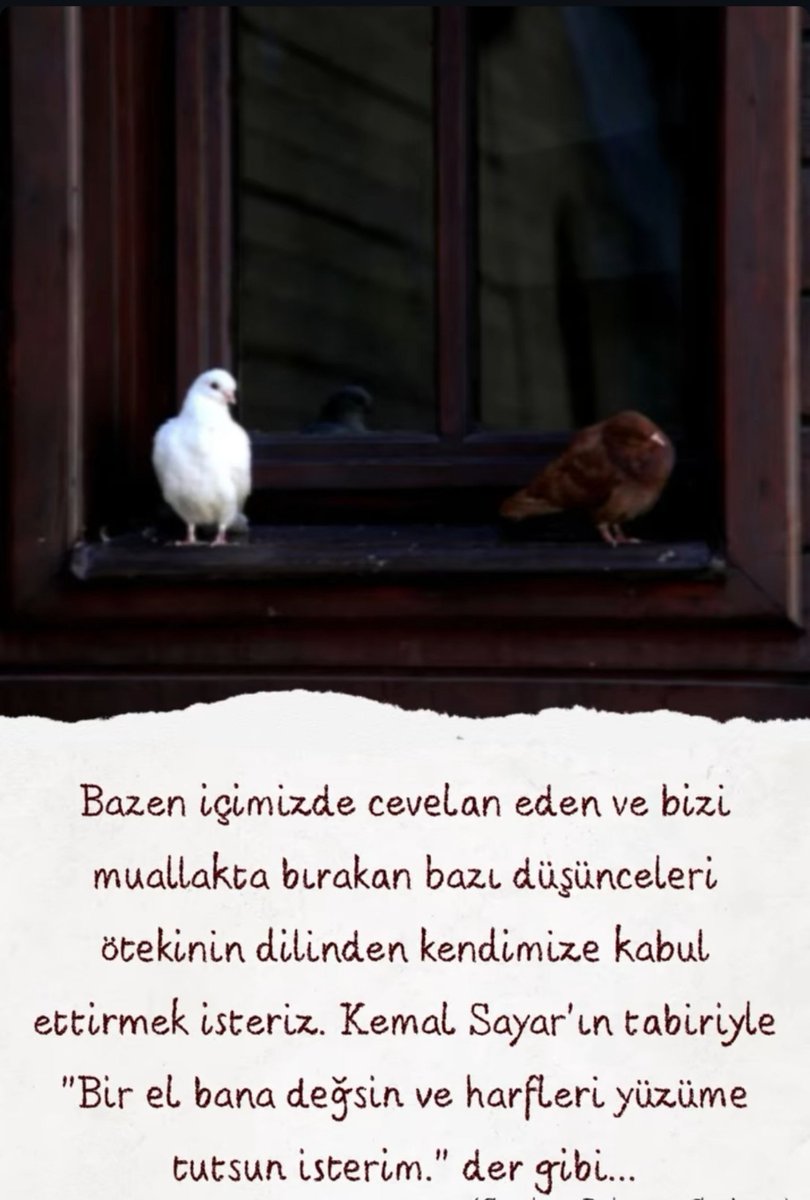 leyla68141244's tweet photo. "Bir el bana değsin ve harfleri yüzüme tutsun isterim."

#günaymış
#sonbahar https://t.co/xrKpBLpour