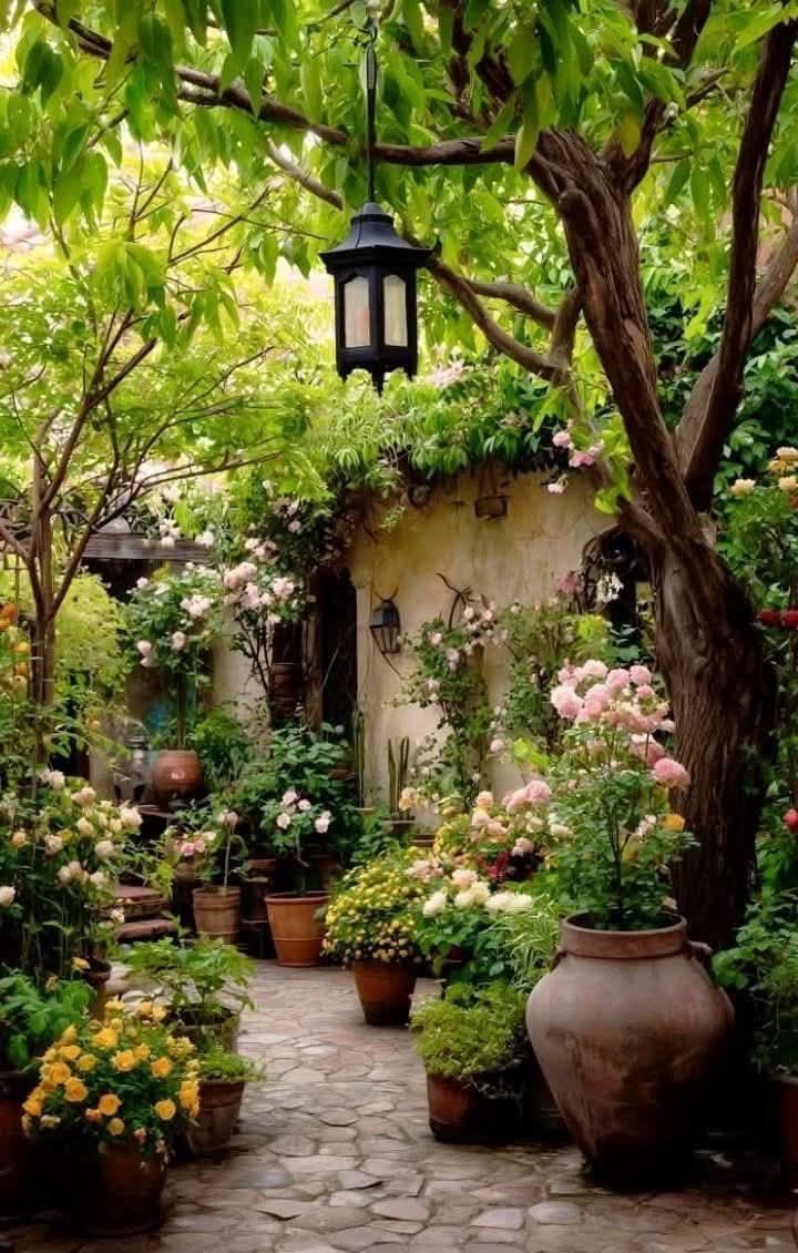 TheNatureeeGirl's tweet photo. I can imagine scent 
of the Flowers 💐 https://t.co/PXtmBEXdkO