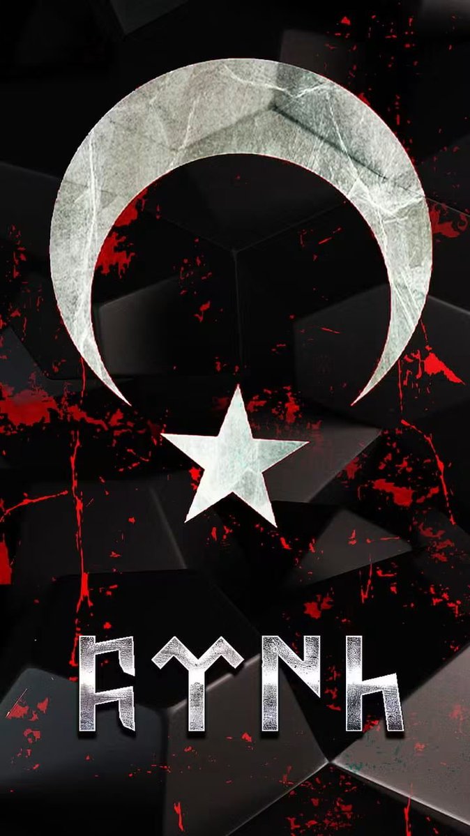 HacMullaAk7dom's tweet photo. TÜRK🐺 KURT https://t.co/z9pbRhirih