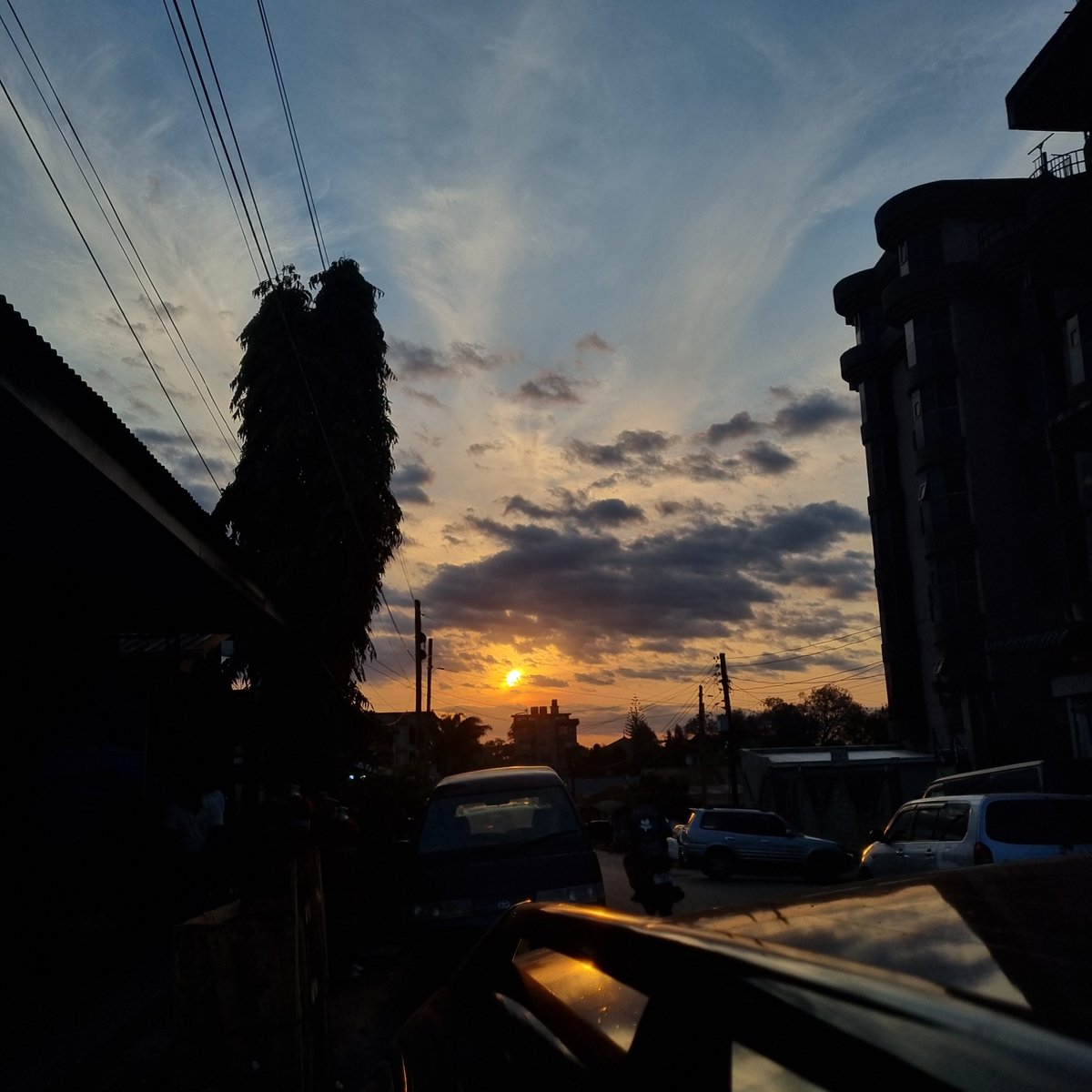 JohnsonNgo29480's tweet photo. 🌞🌞 https://t.co/Il9pmelnIo