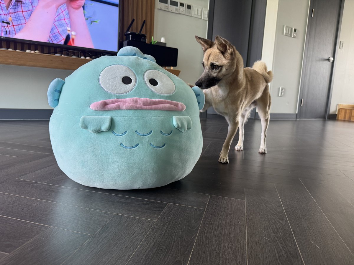 Crispy_Dog_'s tweet photo. https://t.co/hsMISBg6Vc