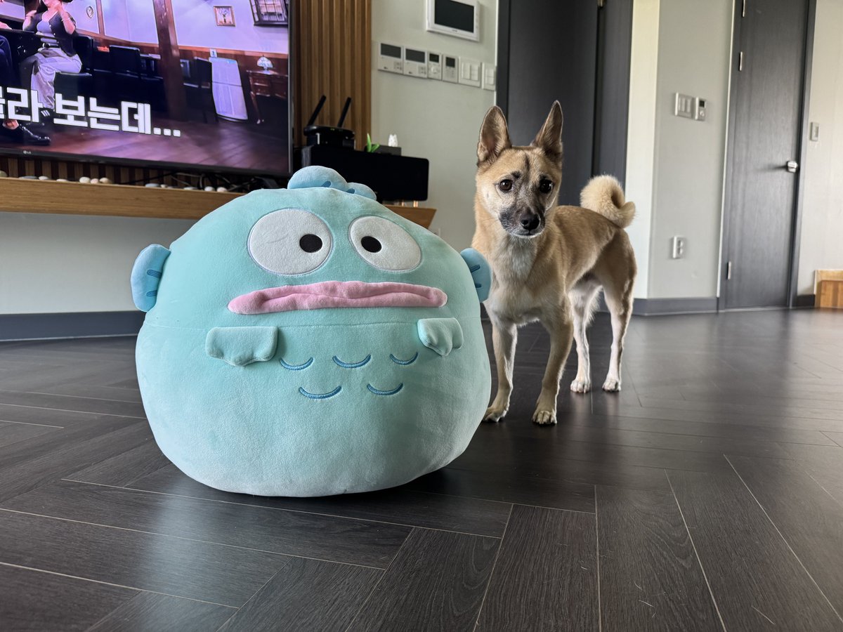Crispy_Dog_'s tweet photo. https://t.co/hsMISBg6Vc
