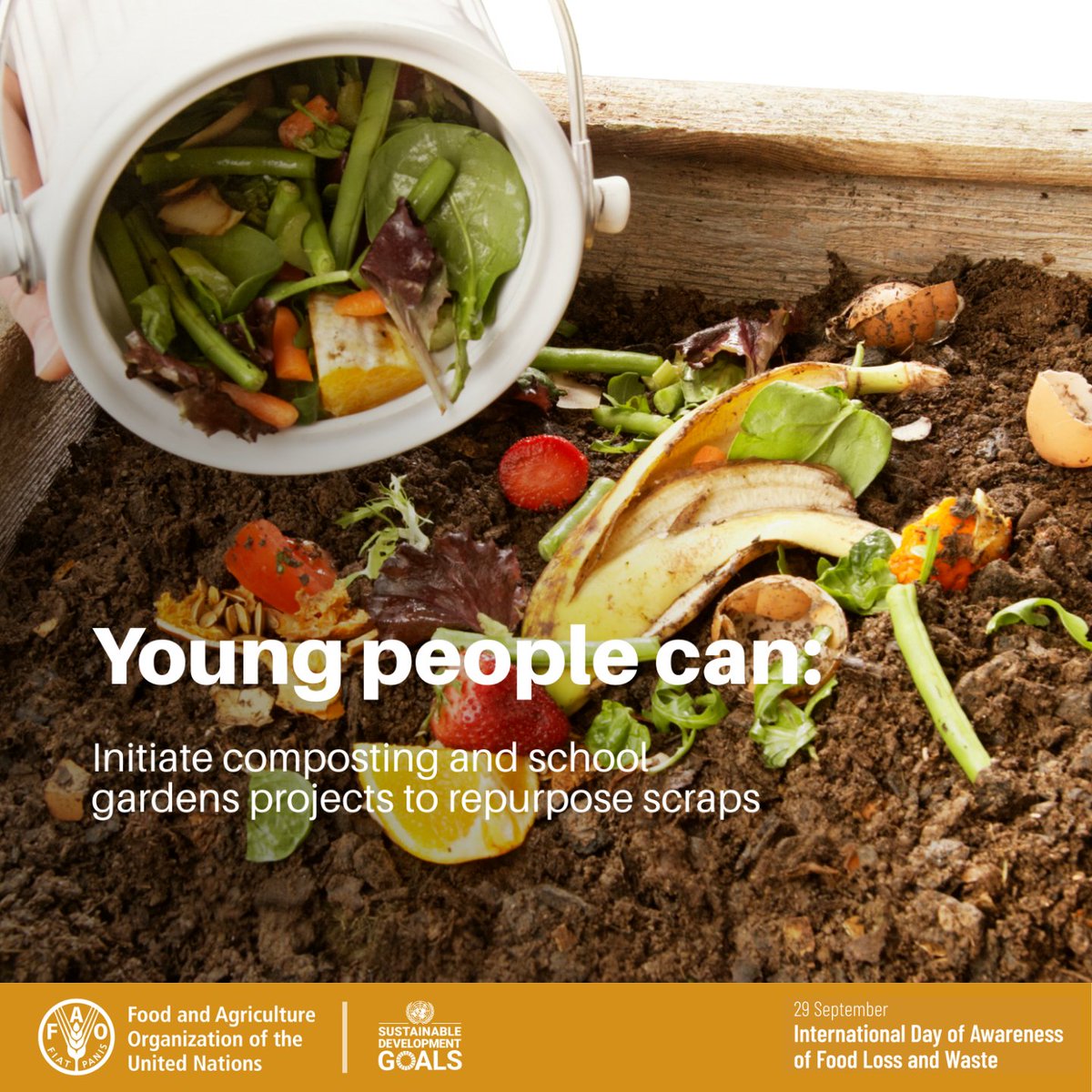 FAOAsiaPacific's tweet photo. 📢 Happening today!
🎙️ Hear from youth innovators and partners across Asia-Pacific as they share how they are turning waste into opportunity at our #IDAFLW webinar.
⏲️ 14:00–15:30 (UTC+7)
👉 Register: https://t.co/ouh5FCNG2J
🔗 https://t.co/1ls3lRQ9qJ
#YouthAction https://t.co/nVbDdswrzh