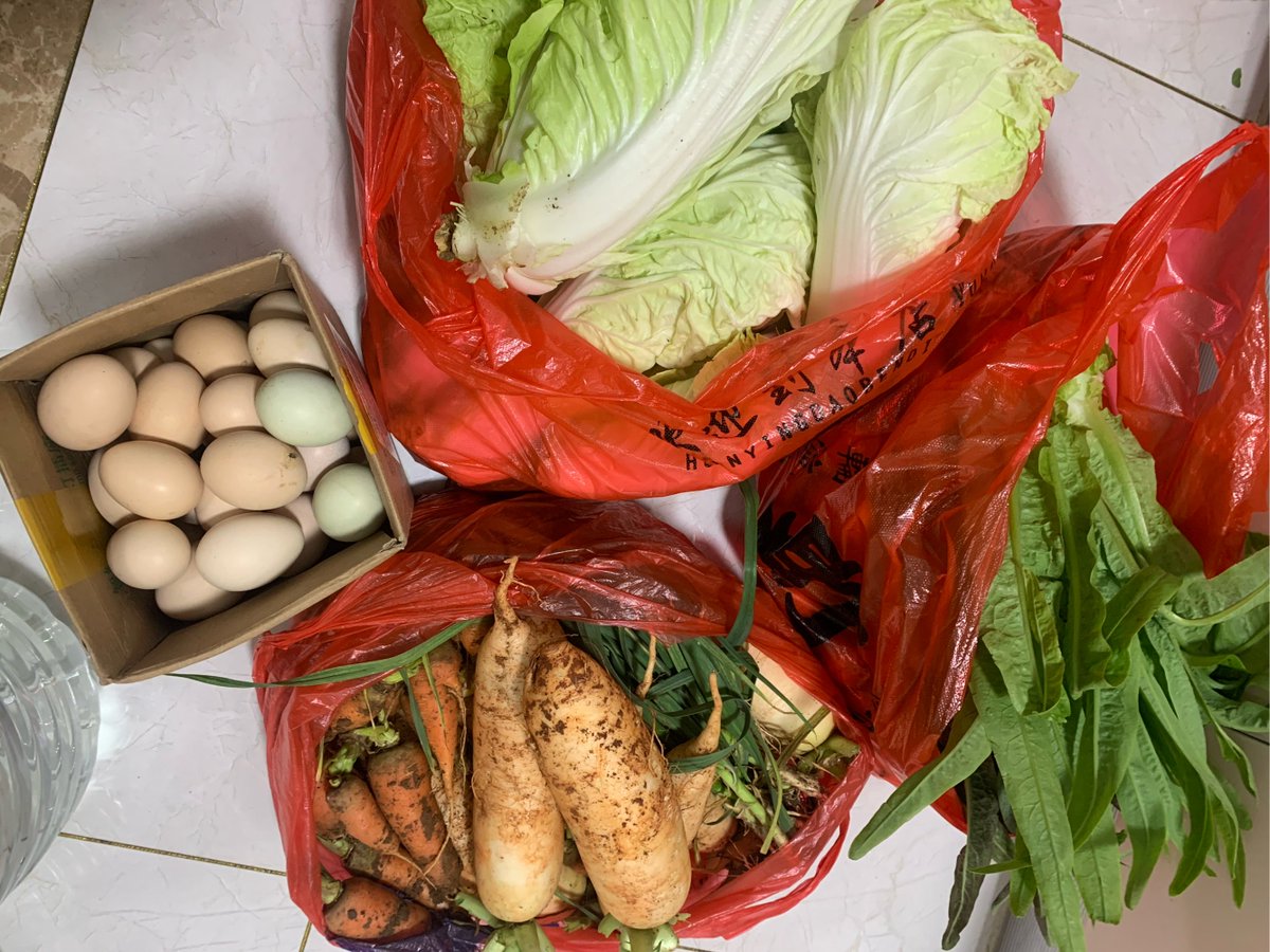 coleroman825955's tweet photo. Got the freshest organic veggies and farm eggs this morning! Perfect for tonight's healthy stir-fry. https://t.co/UzfrEUknWs