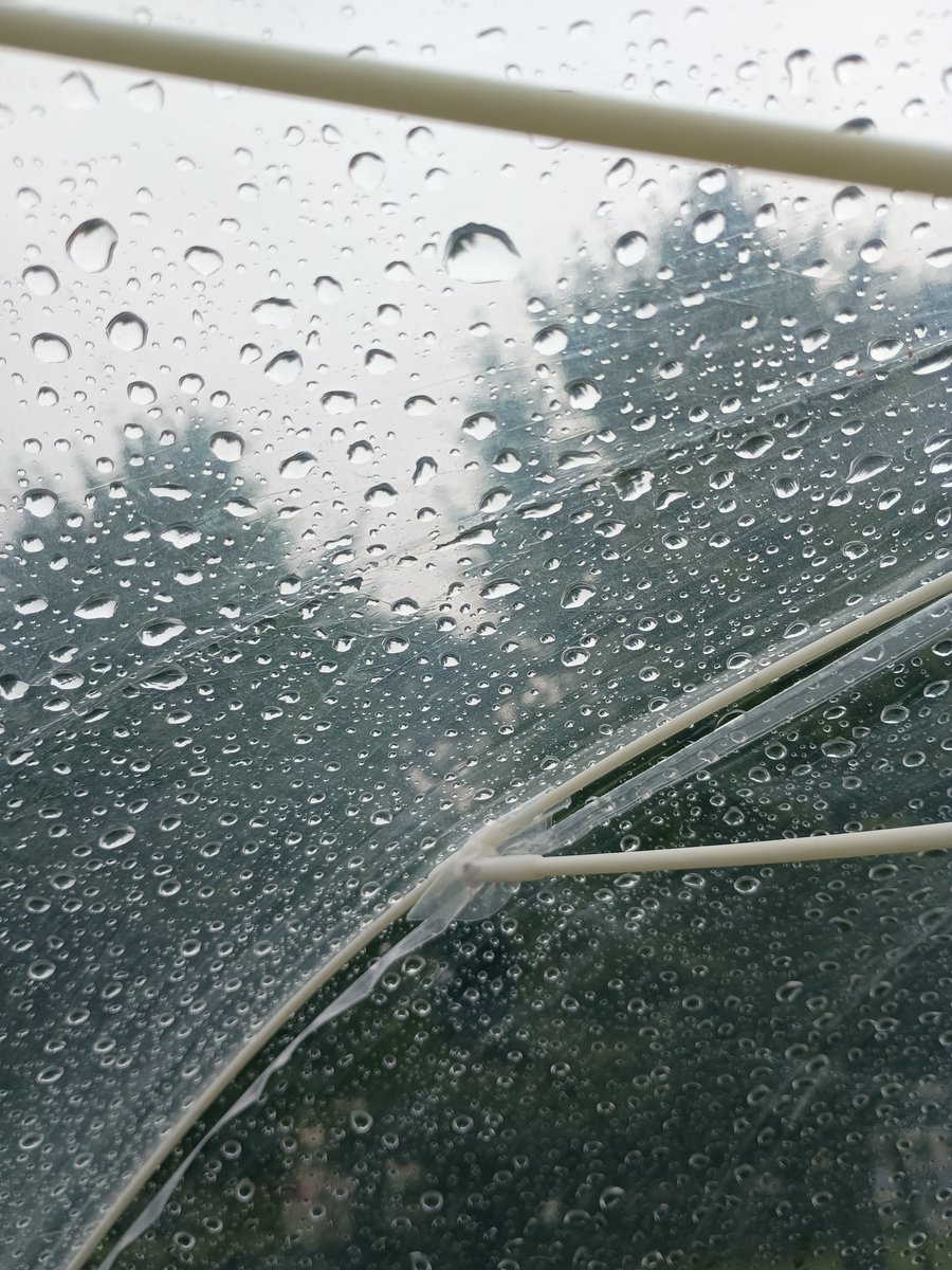 weak4065's tweet photo. 枯れ葉が地面に落ちはじめ
自然はゆっくり秋めいてきました
いいことも悪いこともふくめて
季節は移り変わっていく https://t.co/UQzmSYJY3r