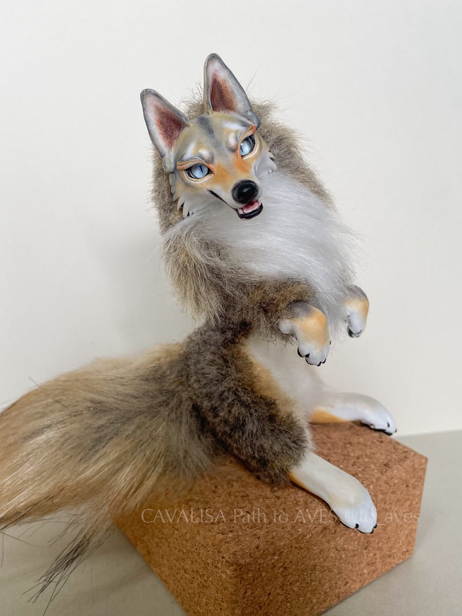 to_aves's tweet photo. #アートドール #オーダー #artdoll

手乗りシリーズのオーダーを頂いたので、ご要望に合わせてヘッドを少し改良。

この機会に同シリーズのオーダーを数件募集したいと思います。

ご希望の方おられましたらDMにてお問い合わせください⋆* 1体につき52,000円(送料込み)にて承ります。

〜〜〜

Commission open for these “mini size dog & wolf series “ USD$350 +shipping via JP🇯🇵 DM me 🐶