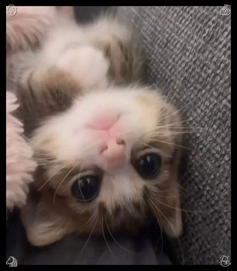 parduetree's tweet photo. 😧Video game with friend Friend, cameTreat every stranger you encounter equal soft gentle kindness never judge others outer physical looks seek inner kindness all daily social face to face meeting interaction contacts https://t.co/FXhaNg3zE8