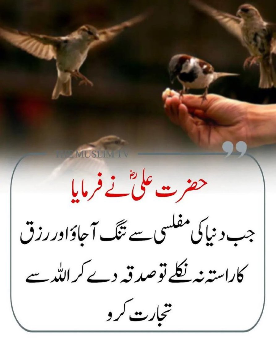 QuranMyriZindgi's tweet photo. صدقہ مفلسی کو مٹا دیتا ہے https://t.co/zcQOJJOxlY