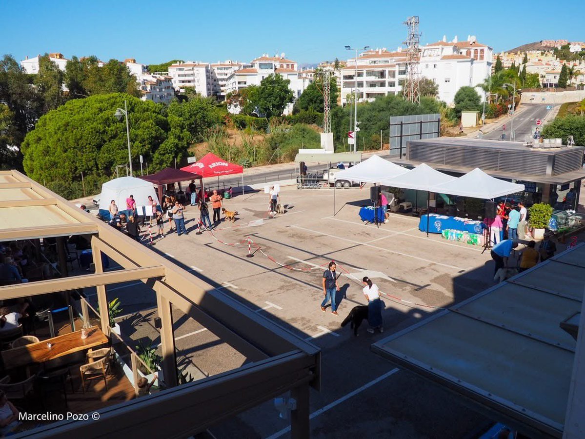 SocCaninaCSol's tweet photo. Socios , expositores , criadores y aficionados al mundo del perro, se aproxima la fecha de cierre para el Concurso Nacional Canino , Centro Comercial Los Olivos en Cala de Mijas , Málaga .Comenzamos la temporada de otoño con este concurso. #calademijas #exposicionescaninas https://t.co/7Dv3WX8tJF