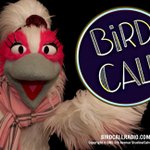 Photo by Bird Call (@BirdCallRadio)