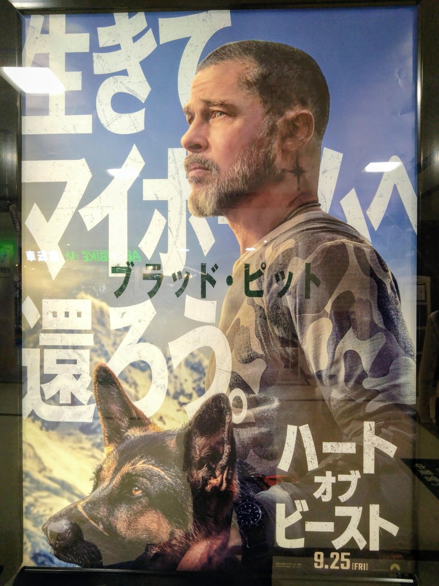 mame99mam's tweet photo. 今日は期せずして有休、映画「HEART OF THE BEAST/ハート・オブ・ビースト」。退役軍人と退役軍用犬のサバイバル映画、雄大で過酷なアラスカ大自然の中、人と犬のゆるぎない絆に、泣けました。いい映画でした。
#heartofbeast #ハートオブビースト https://t.co/4aw1tOktFH