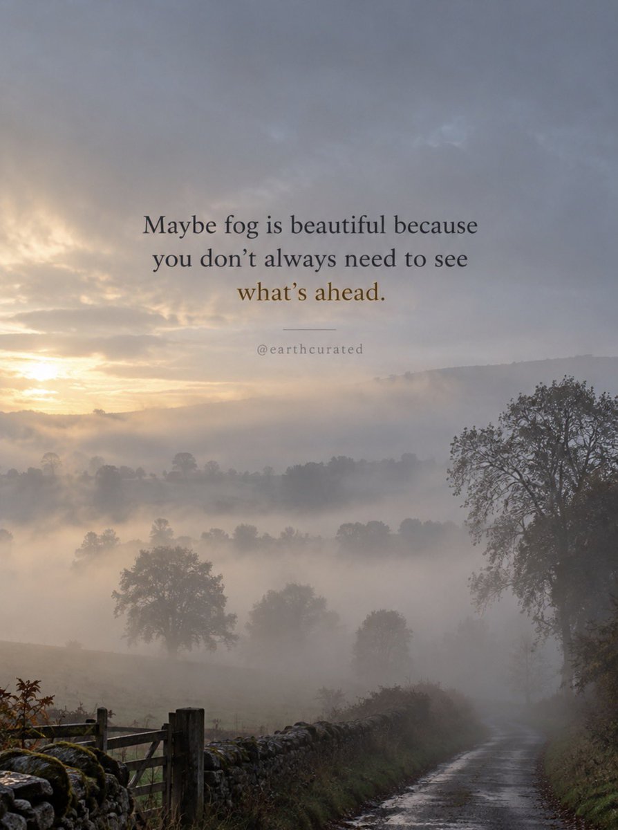 earthcurated's tweet photo. Sometimes not knowing is part of the beauty. https://t.co/VxCQOKhpIK