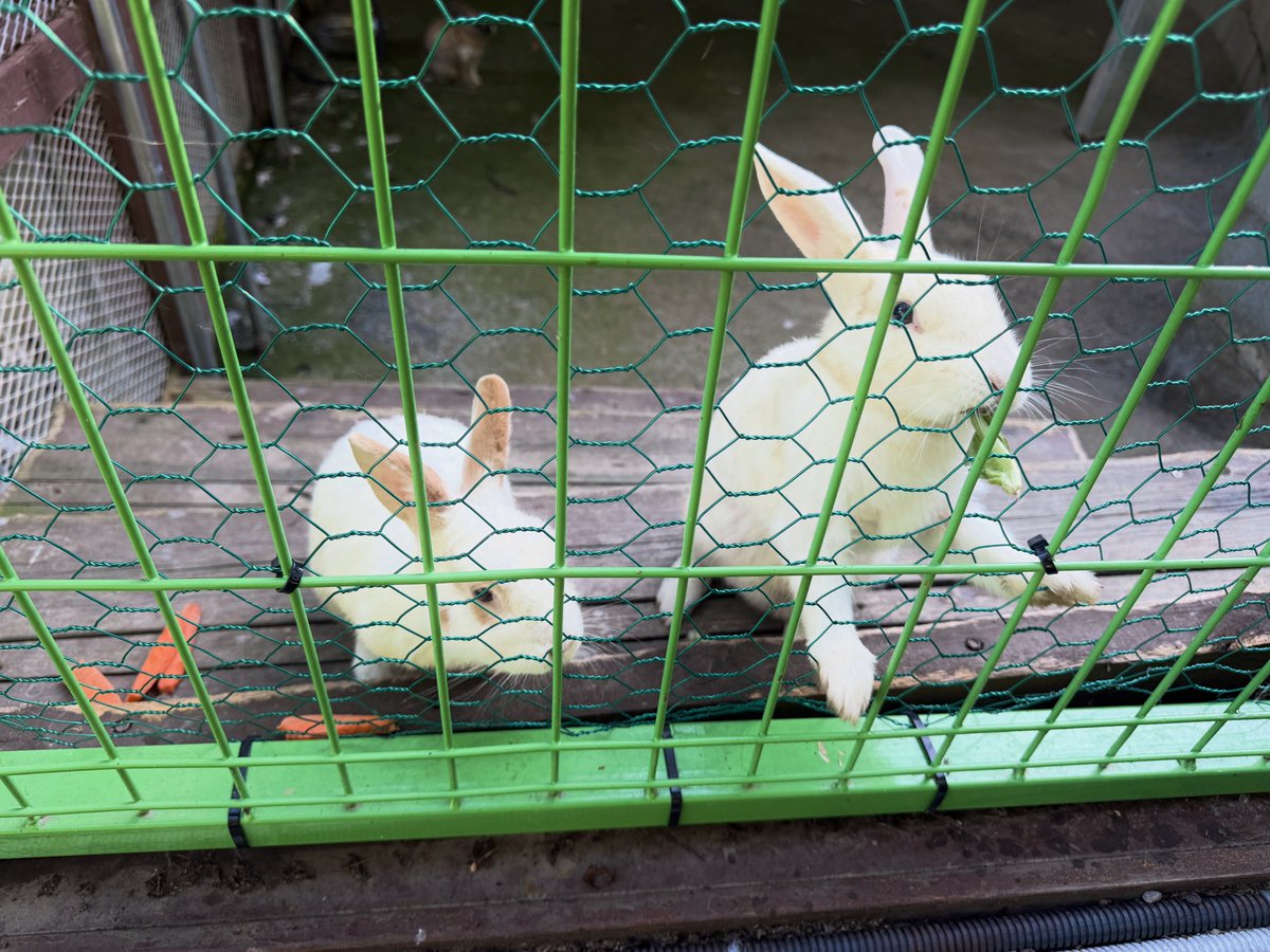 ddalkioni's tweet photo. 목포왕자 ㅇㅅㅇ 보고시프미 ㅜ.ㅜ https://t.co/KM0vEu2iS0