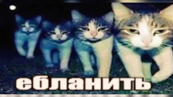 Chizik_Eba's tweet photo. Сегодня вторник
А значит официально можно весь день https://t.co/0WYFLZPghs