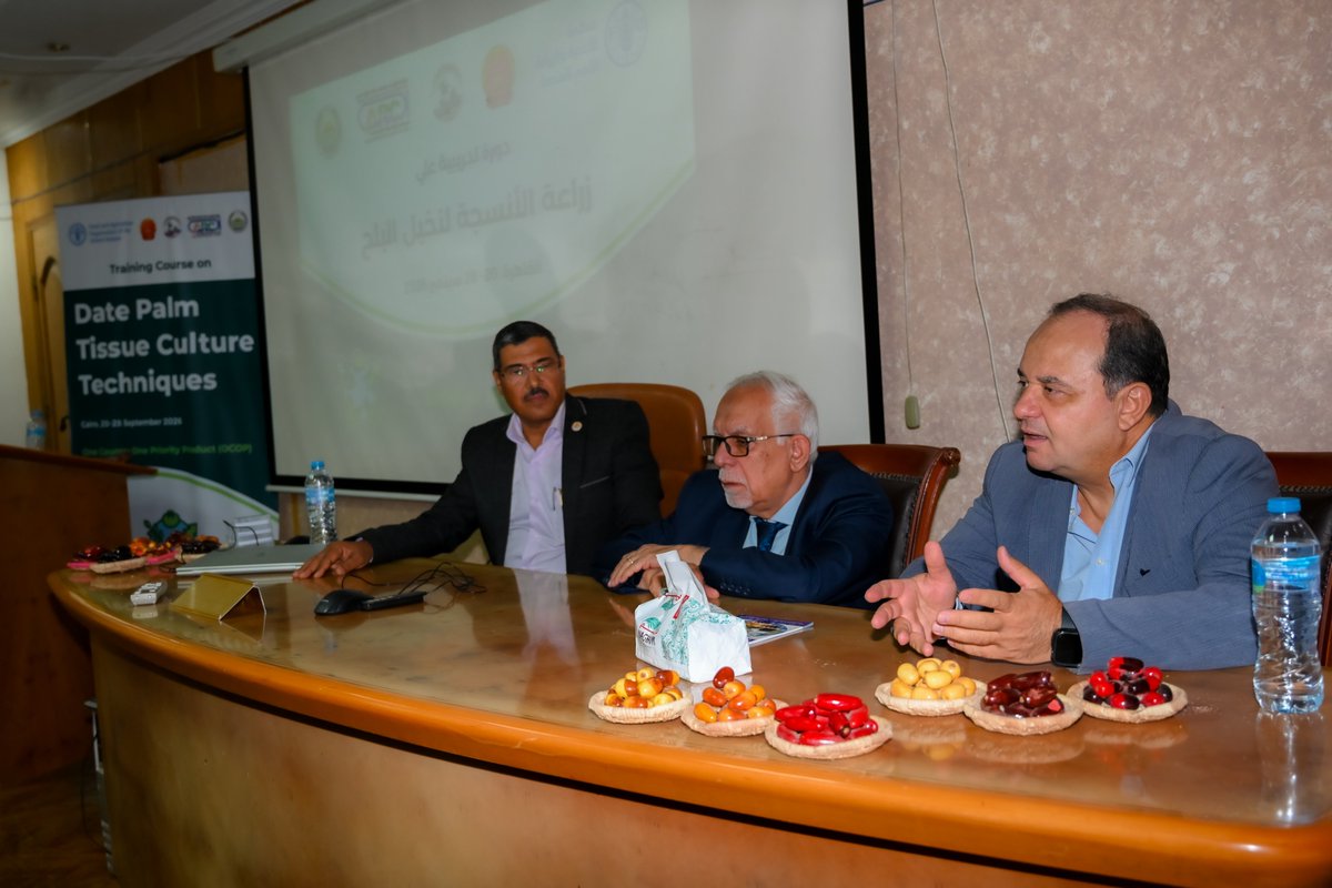 FAOEgypt's tweet photo. 🌴 من المعمل إلى مزارع النخيل..
اختتمت @FAO و@agricultureagr تدريبًا متخصصًا في زراعة أنسجة نخيل التمور لـ10 متدربين من مصر والعراق، تضمن تطبيقات عملية في الإكثار الدقيق والتجذير والأقلمة وإدارة التلوث وضبط الجودة، لدعم إنتاج شتلات سليمة ومتجانسة وعالية الجودة.

#OCOP💰🇨🇳 https://t.co/qYBXk7fii0