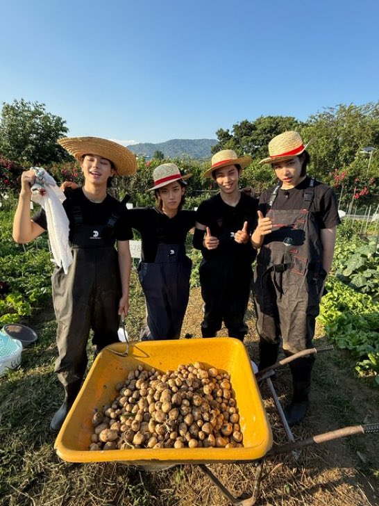 liouislim's tweet photo. berkebun memanen potato untuk membuat perkedel bersama abang abang. https://t.co/OqvWJbgbz2