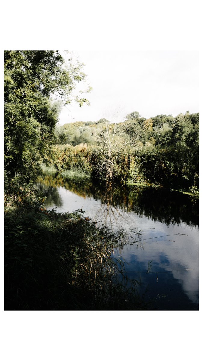 macintoshriver's tweet photo. Final bit of warmth before the skeleton of the earth begins to show itself #35mm #autumn #eire #river https://t.co/mXt4uHUaz8