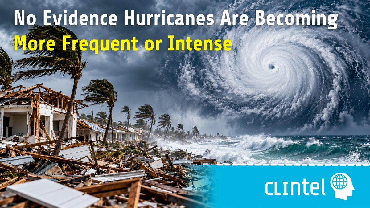 ClintelOrg tweet picture