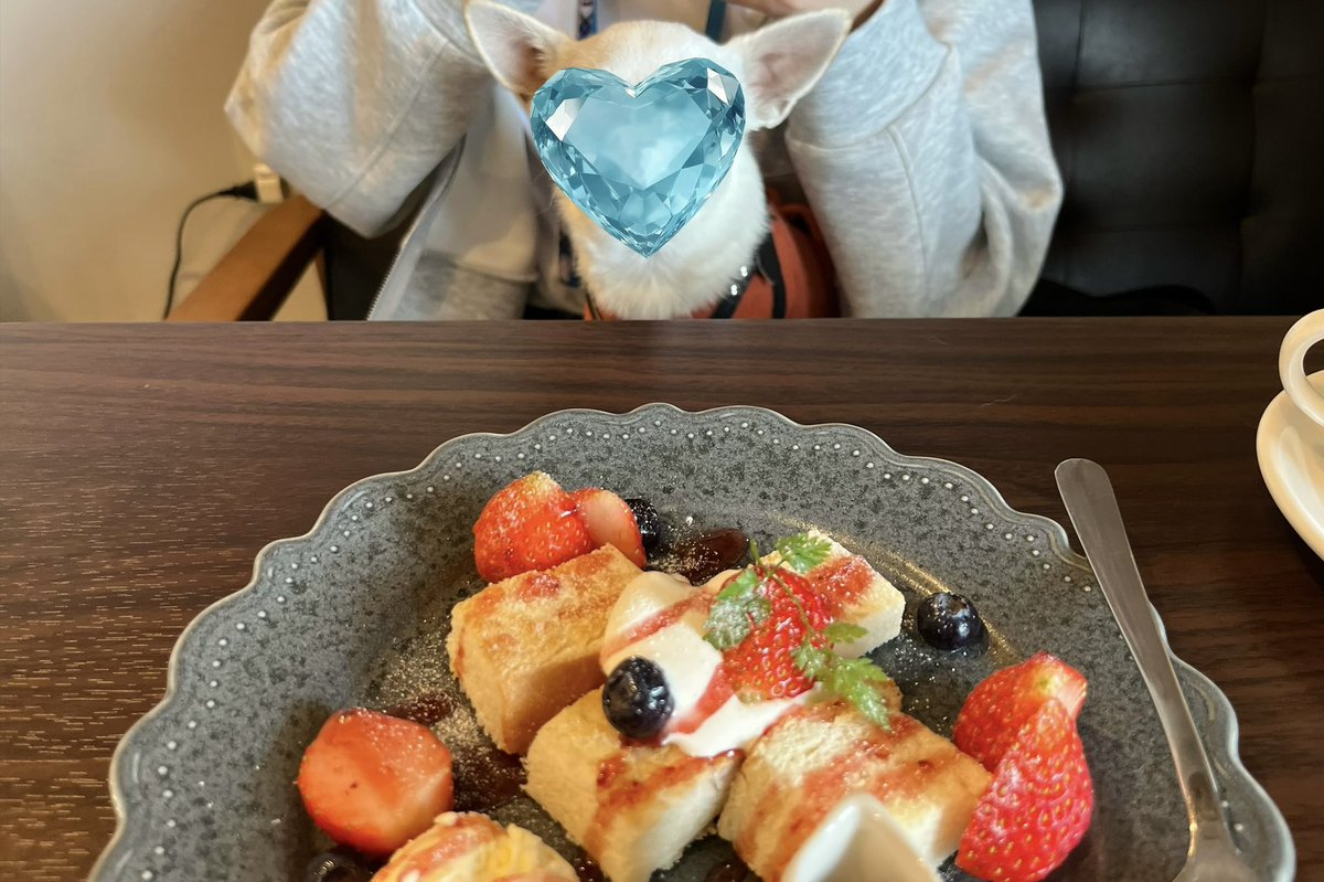 chiwa390's tweet photo. 好きなもの頼みな〜！
と言いつつ、しっかり値段を見る

娘の転職が決まったので
カフェでプチ祝い🐶

やっぱり
お金の余裕＝心の余裕 https://t.co/Qvc4yQmYQD
