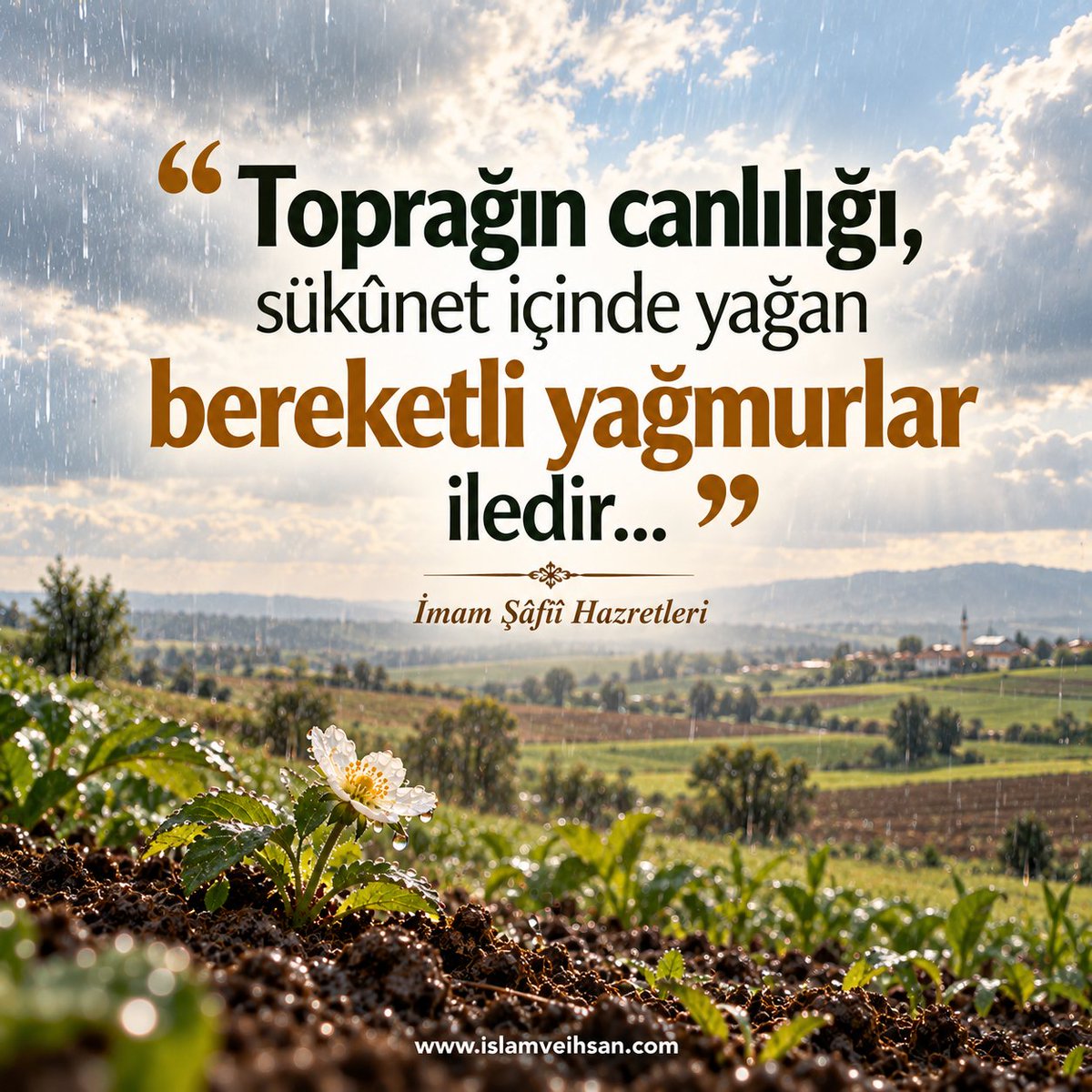 Hikmetlisoz's tweet photo. “Toprağın canlılığı, sükûnet içinde yağan bereketli yağmurlar iledir...” (İmam Şâfiî Hazretleri) #hikmetlisözler https://t.co/myIbMh7gkZ