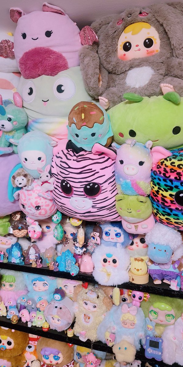 Miichel701's tweet photo. #squishmallows #squishmallow #babythree #myroom #stuffedanimal #kawaii #toys #toy #collection #collectibles #toycore #toywave #collector #toycollector #decor #aesthetic #plush #plushies #stuffedanimals #stuffed #plushcore #toycollection #toyroom #maximalist #maximalism #lifestyle https://t.co/CSvDlErDTh