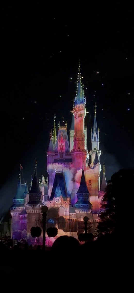 halwalle2008's tweet photo. 1枚目のウォリイヴに夢中で2枚目のウォリイヴに動画見返すまで気付かなかった😭 https://t.co/TcVQU7L8V5