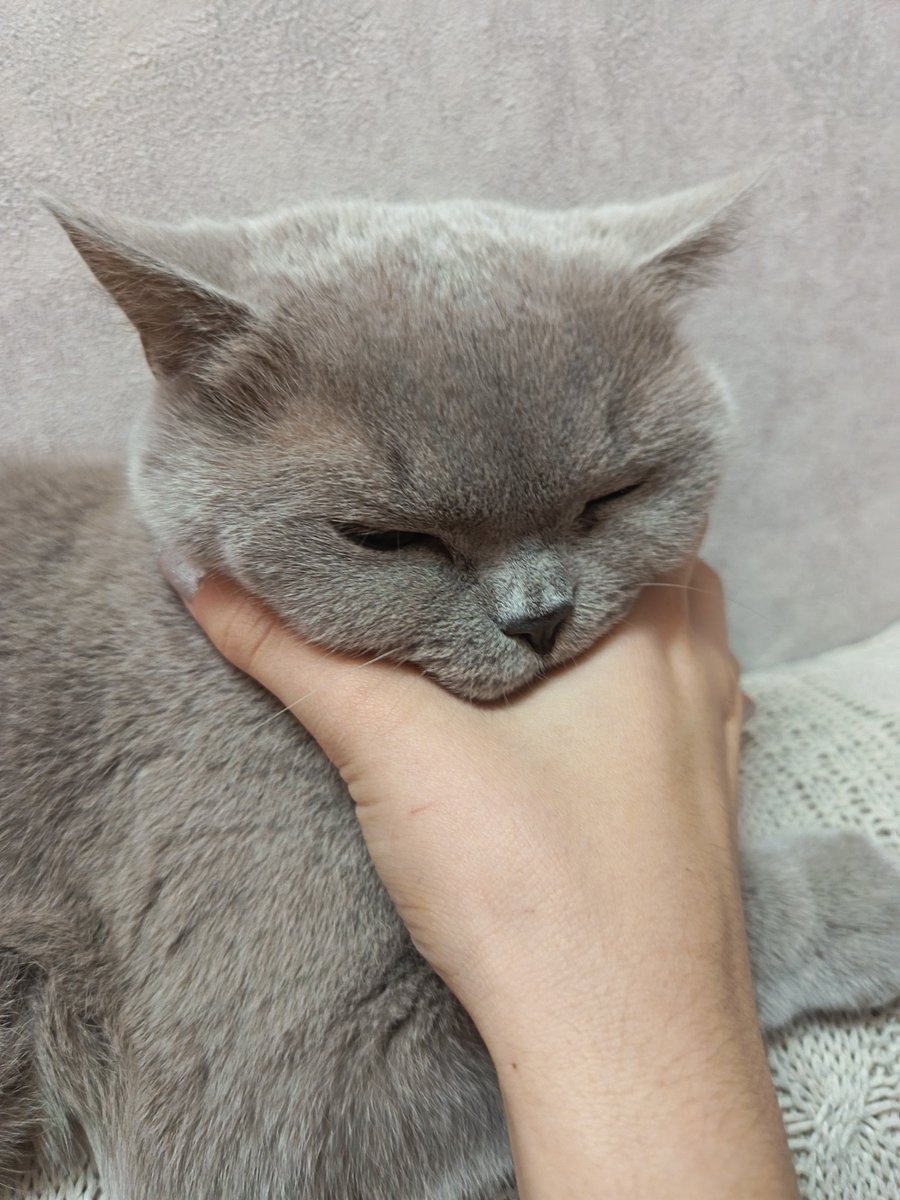 bubblegum13m's tweet photo. люблююю https://t.co/TCgCBw7FSI