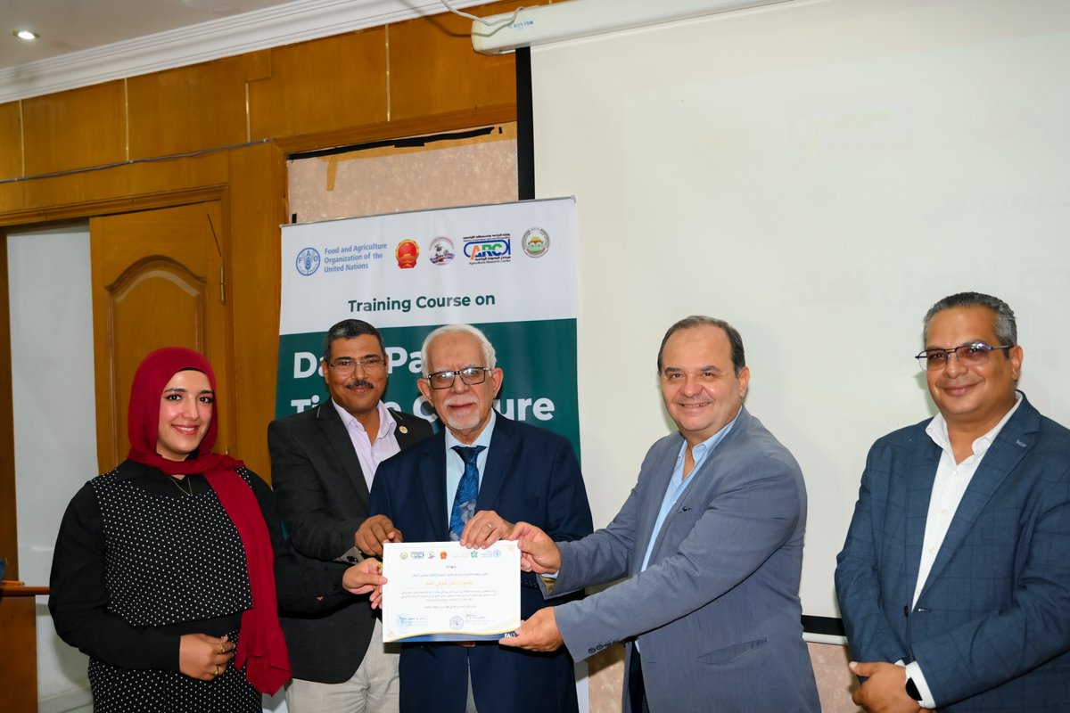 FAOEgypt's tweet photo. 🌴 من المعمل إلى مزارع النخيل..
اختتمت @FAO و@agricultureagr تدريبًا متخصصًا في زراعة أنسجة نخيل التمور لـ10 متدربين من مصر والعراق، تضمن تطبيقات عملية في الإكثار الدقيق والتجذير والأقلمة وإدارة التلوث وضبط الجودة، لدعم إنتاج شتلات سليمة ومتجانسة وعالية الجودة.

#OCOP💰🇨🇳 https://t.co/qYBXk7fii0