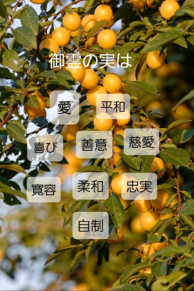 ET48348806's tweet photo. “もしわたしたちが御霊によって生きるのなら、また御霊によって進もうではないか。 互にいどみ合い、互にねたみ合って、虚栄に生きてはならない。”
ガラテヤ人への手紙 5:25-26 https://t.co/V2htEwEwzd