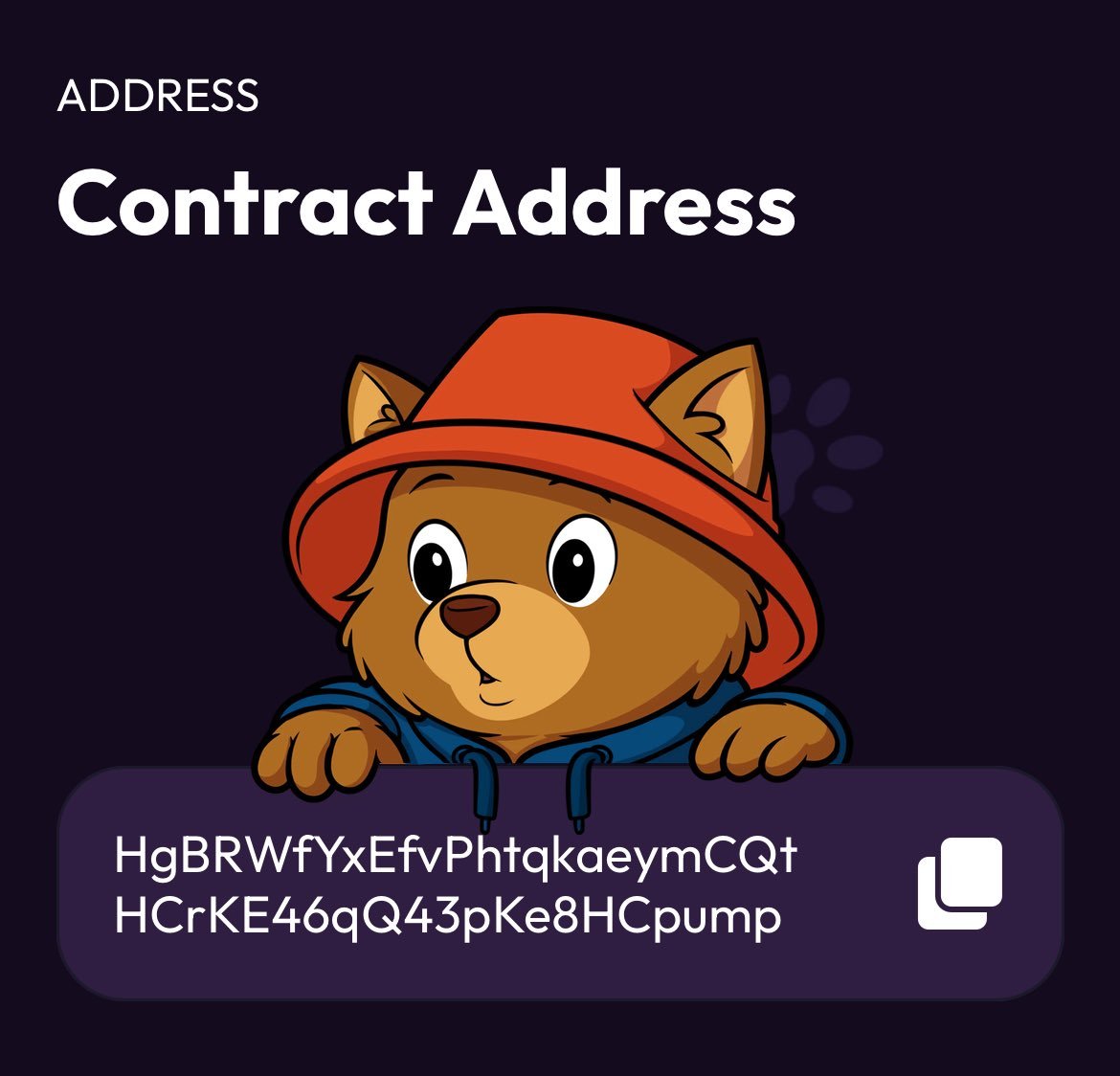 Raidlord11's tweet photo. @RapidCalls I got the CA already 
A billion mcap coin, $BERT https://t.co/mncLNvsGNU