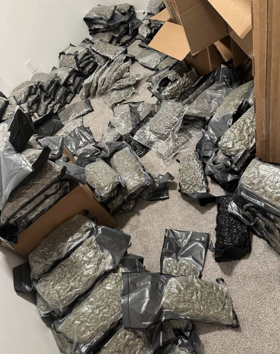 JimBelushiOre's tweet photo. Still receiving late night deals,
 Tap in with a DM to get our menu. We ship all over the United States and Europe discreetly and vacuum sealed. https://t.co/Yl7uuEHue8