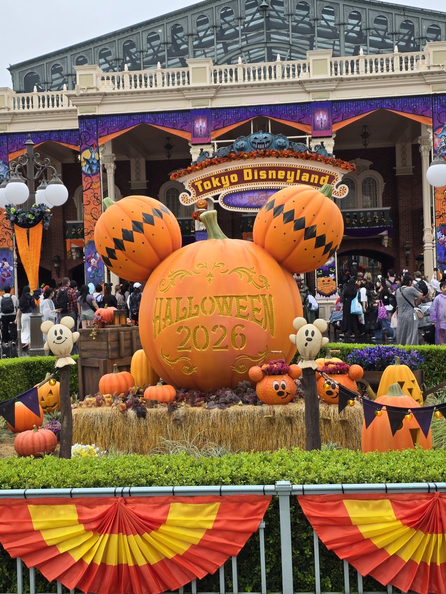 ku1b4's tweet photo. ハロウィンディズニー楽しんできたよー！
ミニーちゃんに抱きつかれてニヤけすぎましたｽｲﾏｾﾝ https://t.co/fvOyvWyBsy