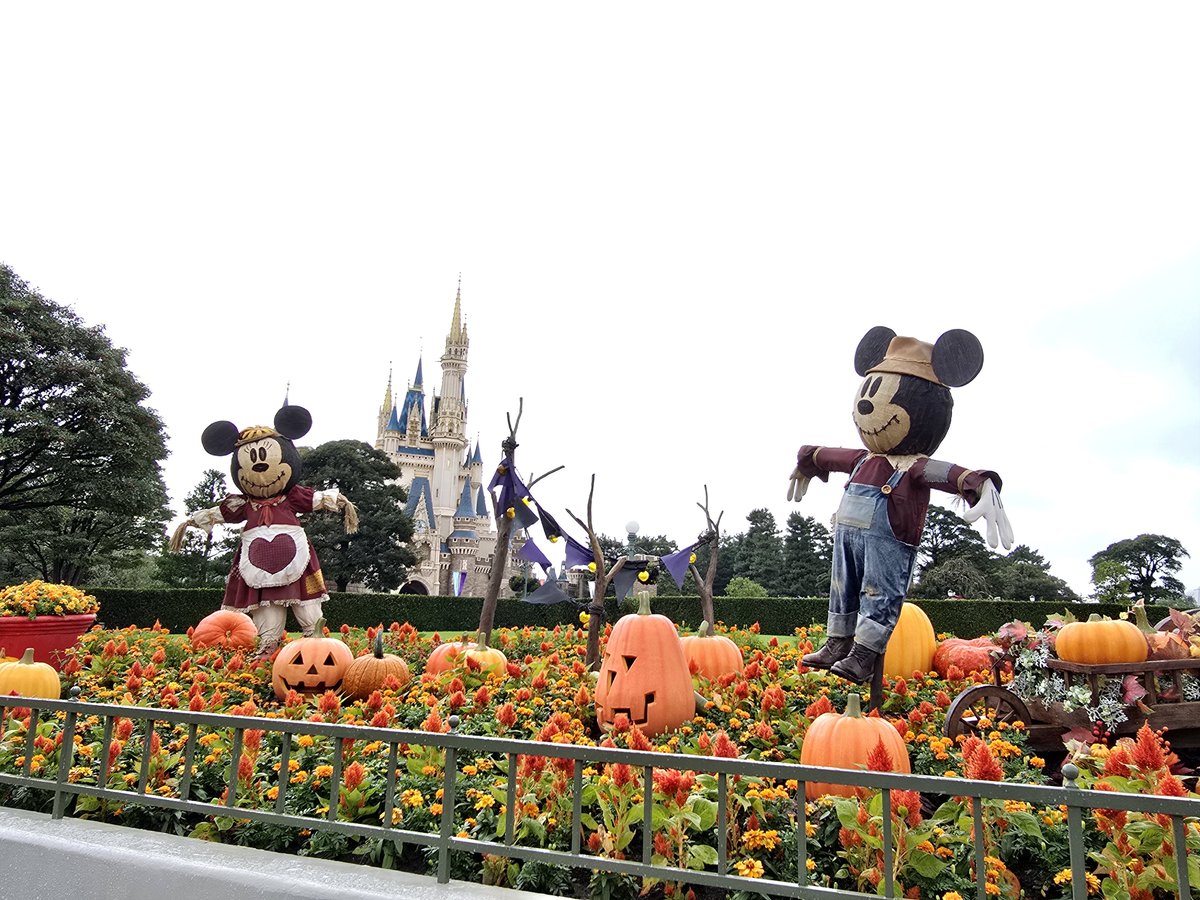 ku1b4's tweet photo. ハロウィンディズニー楽しんできたよー！
ミニーちゃんに抱きつかれてニヤけすぎましたｽｲﾏｾﾝ https://t.co/fvOyvWyBsy