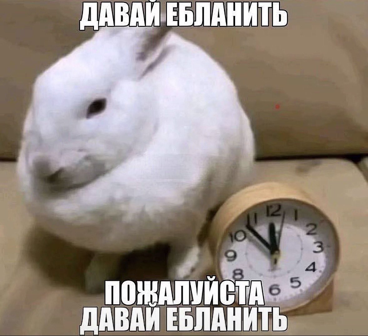 nonnualyt's tweet photo. @Editaz4jz стрем https://t.co/PkZscLrMR3
