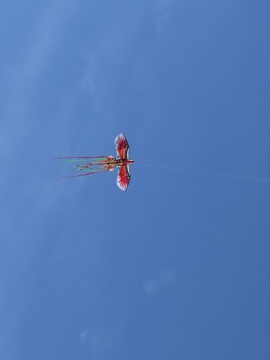 mentarichaeran2's tweet photo. Watching the kite fly with an amazing shifting look, it’s so charming! https://t.co/QytWC9eGD4
