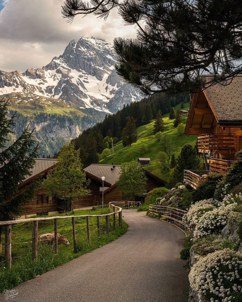earthserenityy's tweet photo. Switzerland https://t.co/5d1pPdzBae