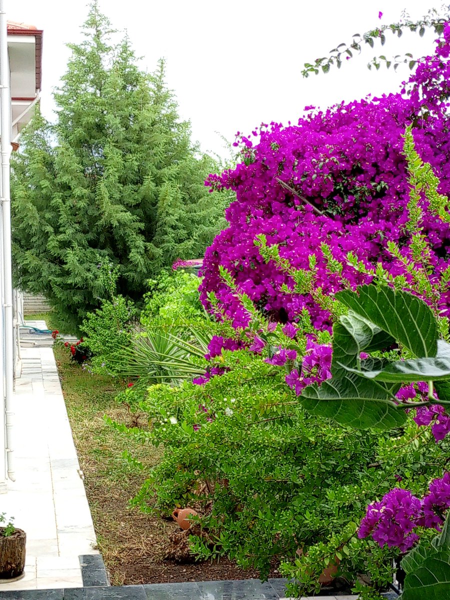 ertan_ca's tweet photo. Kazanırken neleri kaybetttiğini, nelerden vazgeçtiğini hatırlamalı, bilmeli insan.. Gün/us aysın.. 🙏 https://t.co/67H9AFAqos