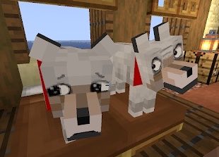 weahoggu's tweet photo. i fucking love this dog bro https://t.co/rGzJlejTSa