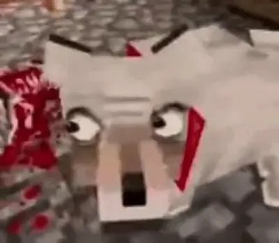 weahoggu's tweet photo. i fucking love this dog bro https://t.co/rGzJlejTSa