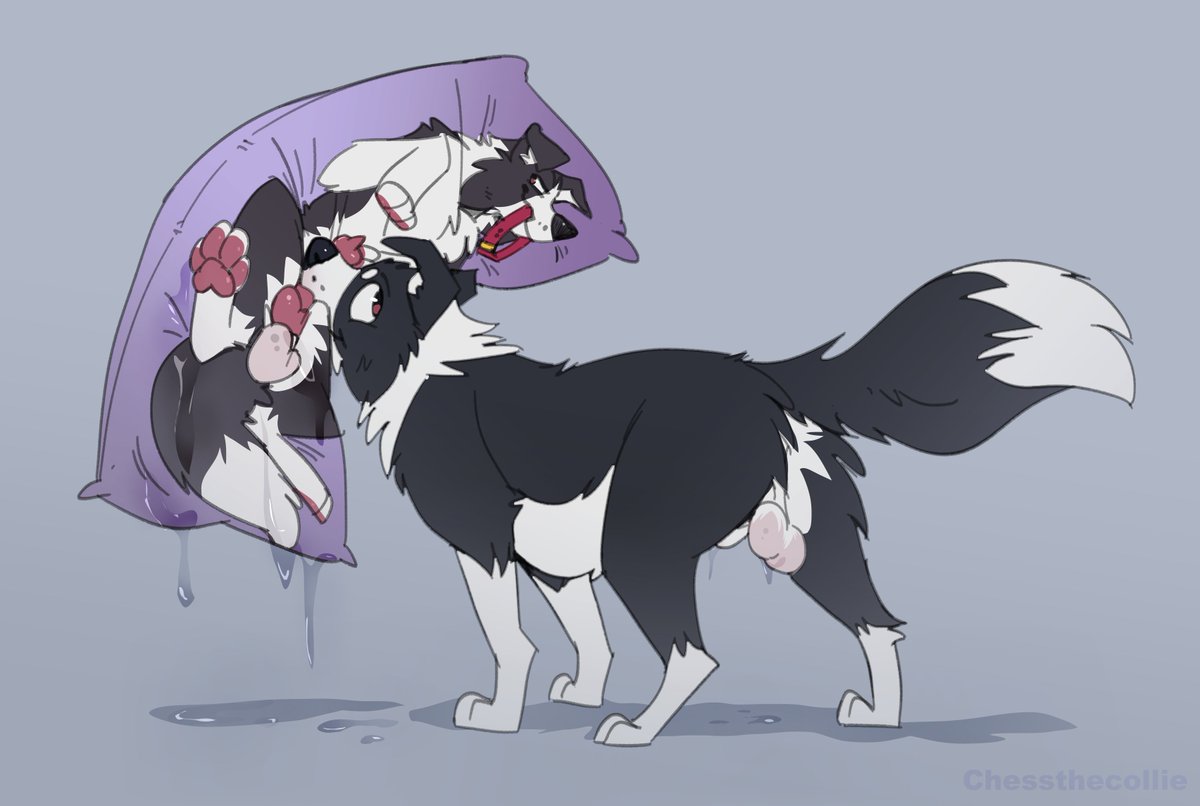 chessferaldog's tweet photo. Hewoof! Chess here, announcing that I'm FINALLY opening the preorders for my Dakimakura! 2nd to 31st of Oct. Price: 75 USD  

More info along with the opening post to appear in a few days :3  

Mark the date (and soon the daki) and go get yours! https://t.co/HgI6XioJab
