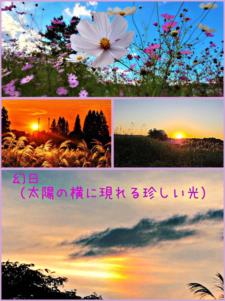 6DAb009heart's tweet photo. 実家の方は中秋の名月から満月まで
曇り気味でも見る事ができました🌕
夕刻に太陽から少し離れた左側に
謎の光が🏳️‍🌈幻日と言うものらしく
初めてハッキリ見たので驚きました
今月もあと一日です
来月は災害の無い穏やかなひと月を
過ごせます様に🤲 https://t.co/oNZln1qfwJ