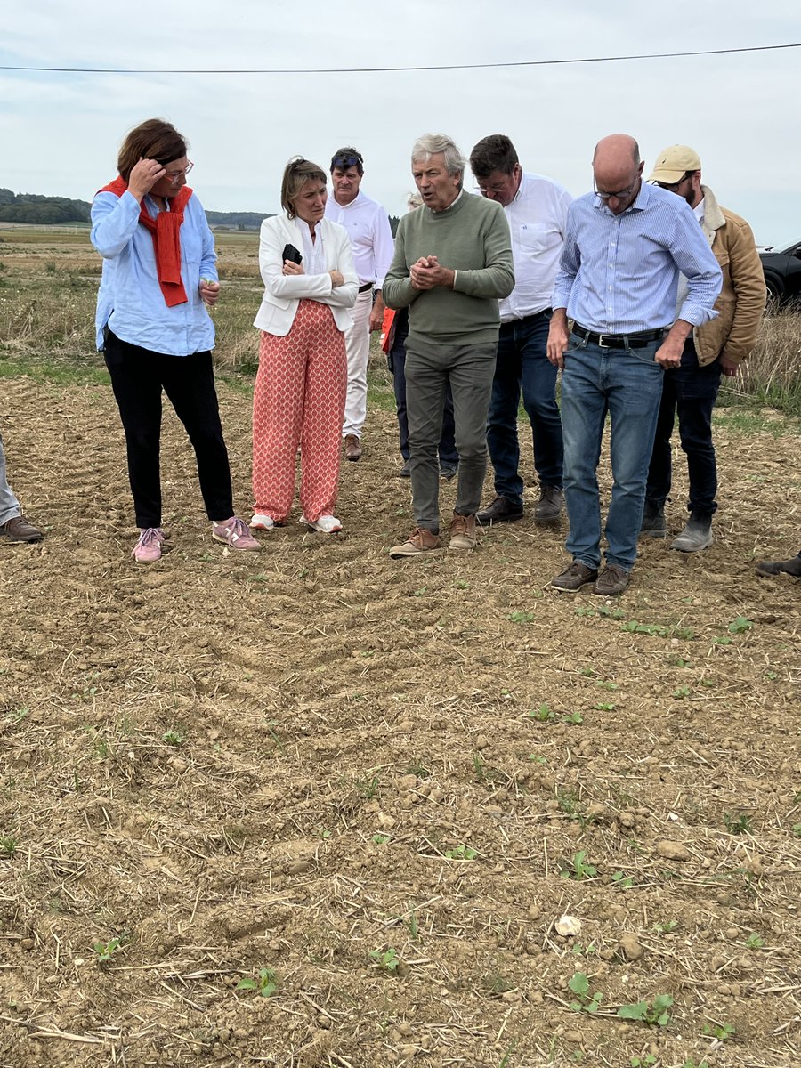 usaa_02's tweet photo. Visite de la préfète de l’Aisne, dans plusieurs exploitations.

- Sécheresse et état des sols
- Betteraves : arrachage difficile, pourritures et parcelles refusées
- Semis de CIPAN compliqués
- Arrachage des pommes de terre
- Colza et préparation de la prochaine campagne https://t.co/OKZKZhANF3