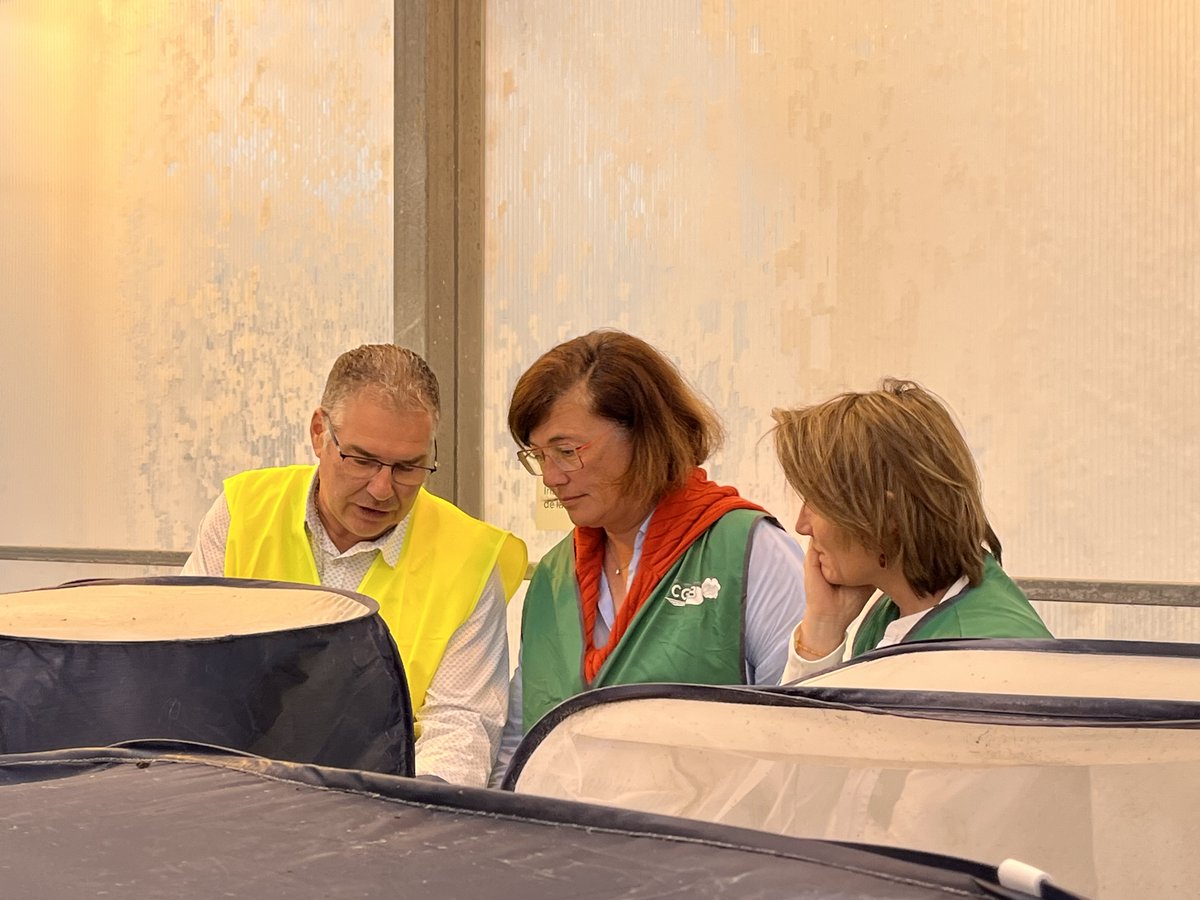 usaa_02's tweet photo. Visite de la préfète de l’Aisne, dans plusieurs exploitations.

- Sécheresse et état des sols
- Betteraves : arrachage difficile, pourritures et parcelles refusées
- Semis de CIPAN compliqués
- Arrachage des pommes de terre
- Colza et préparation de la prochaine campagne https://t.co/OKZKZhANF3